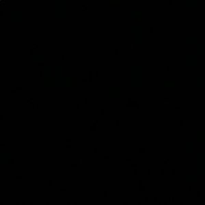 Meet your Posher, Peyton